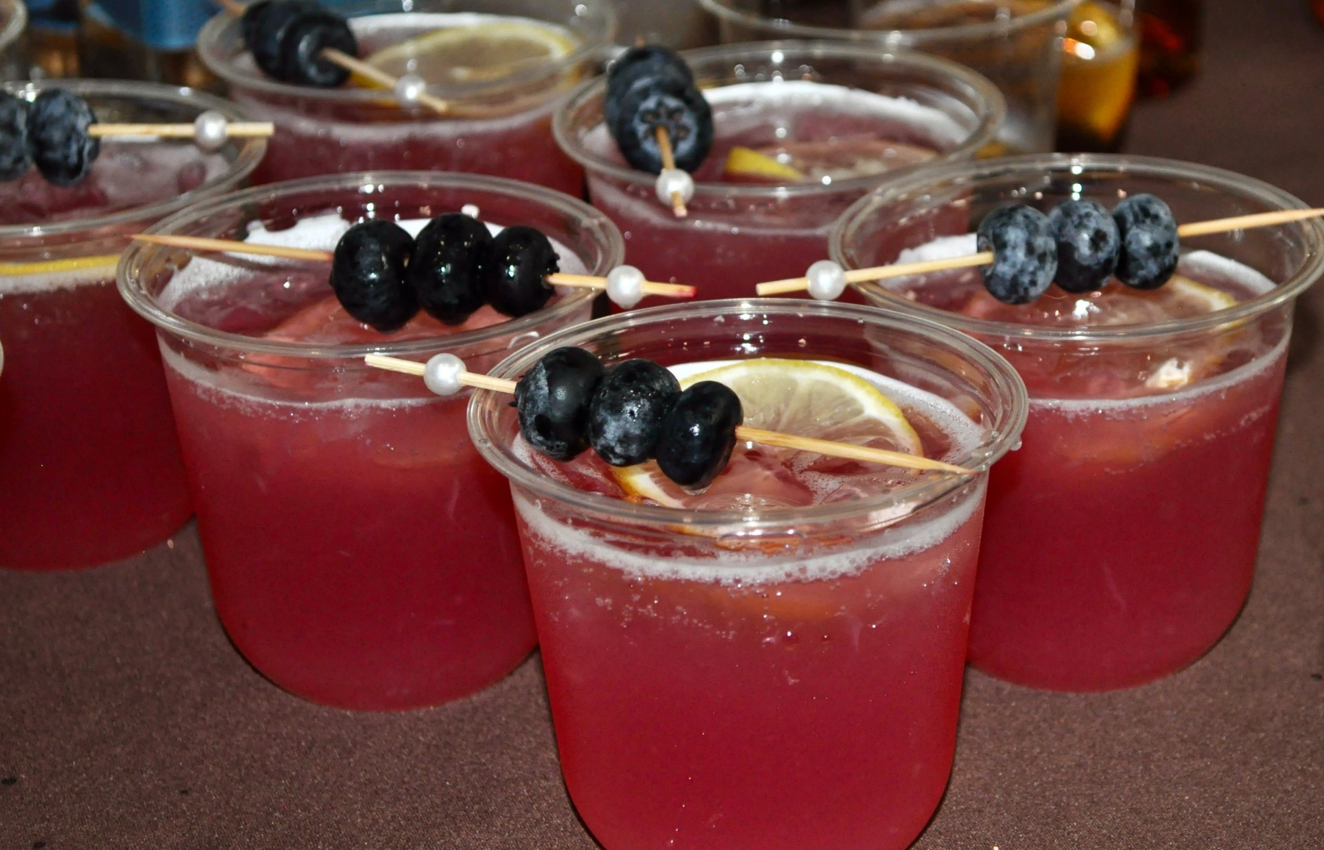 Pink cocktails garnished with blueberries and lemon slices
