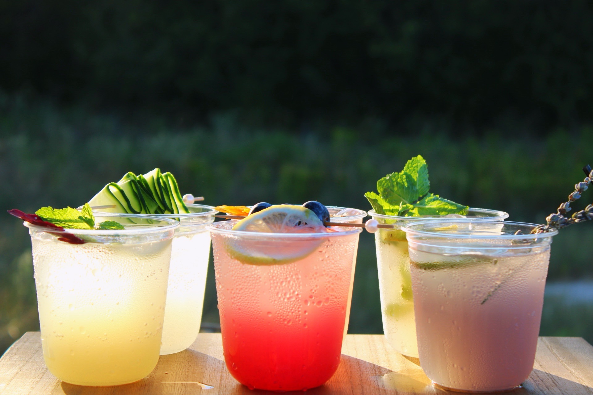 A sunlit lineup of five Book That Bar cocktails