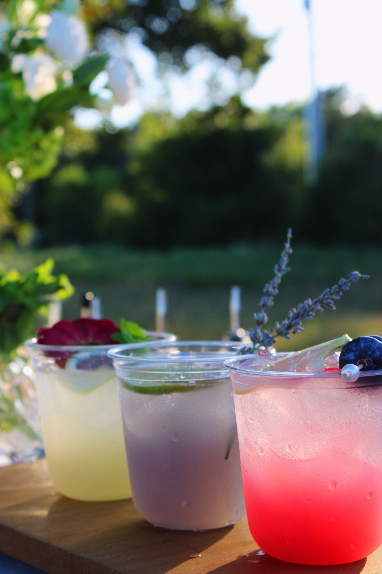 Three colorful signature cocktails arranged on the bar