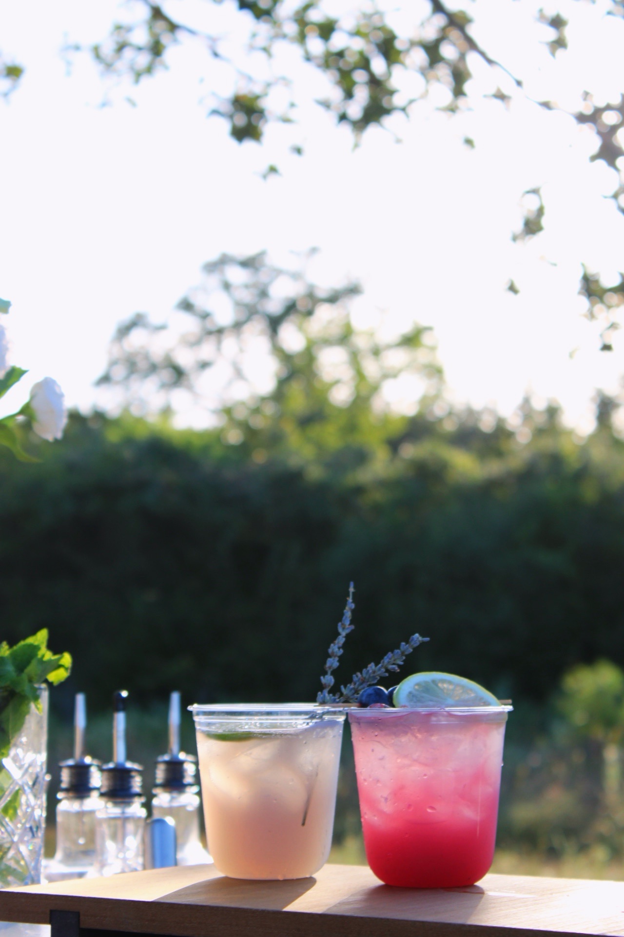 Two signature cocktails in soft evening light