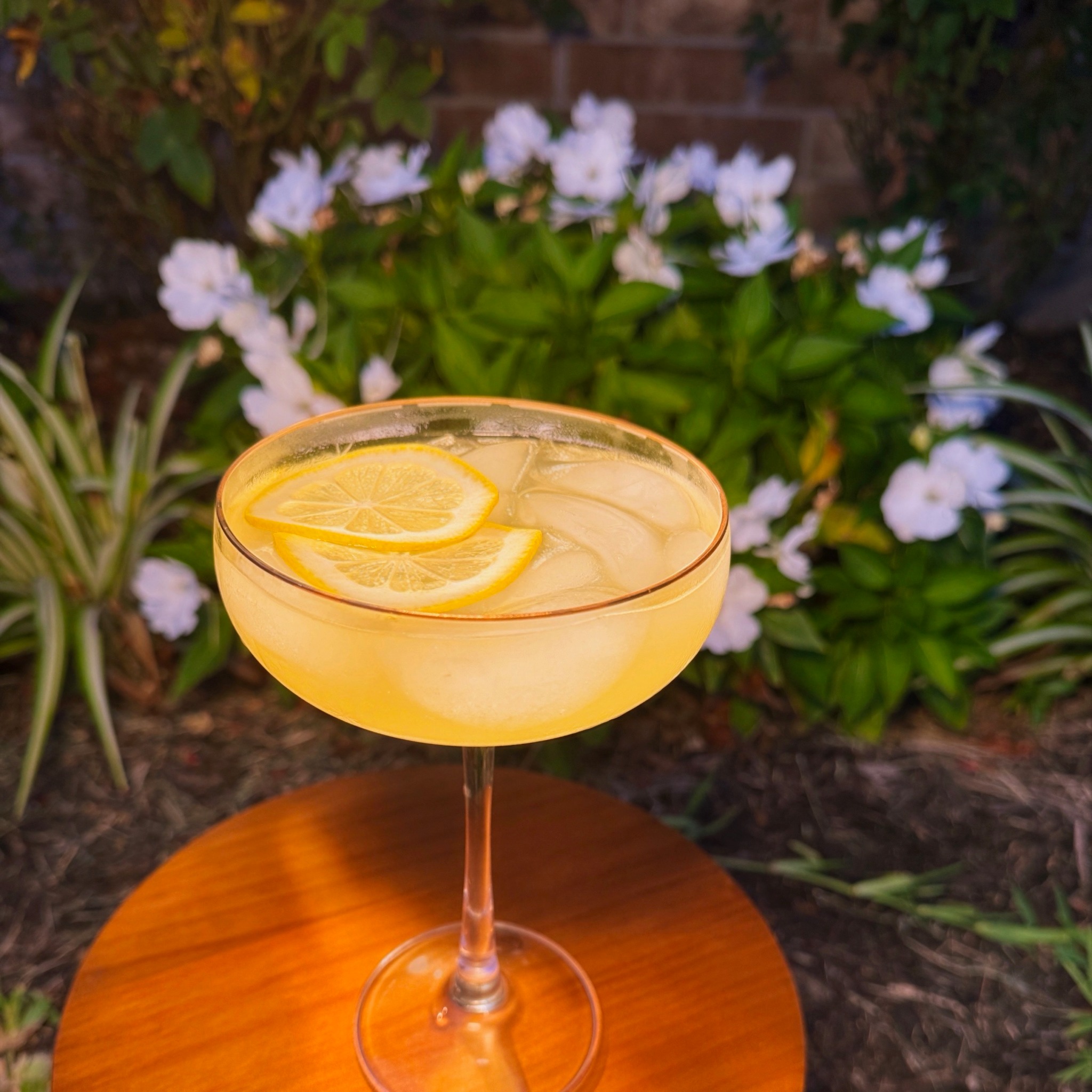 Limoncello Spritzer served in a coupe with lemon slices